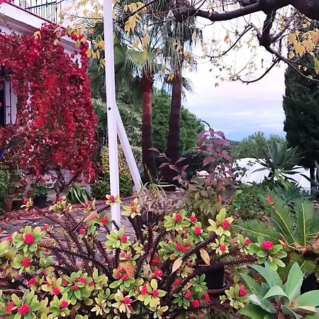 Villa With 4 In Estepona, Malaga, With Wonderful Sea View, Priva